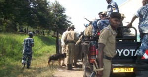 Police mounts search in Kasese